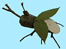 小枝で虫をつくろう